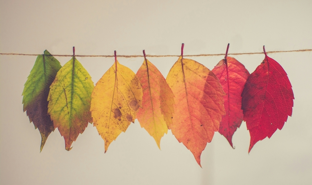 immobilier résidentiel adequation 2026